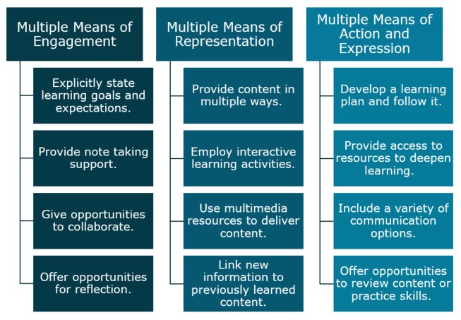 universal design for learning udl